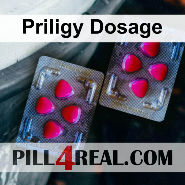 Priligy Dosage 019