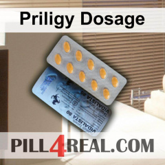 Priligy Dosage 039