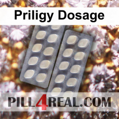 Priligy Dosage 366