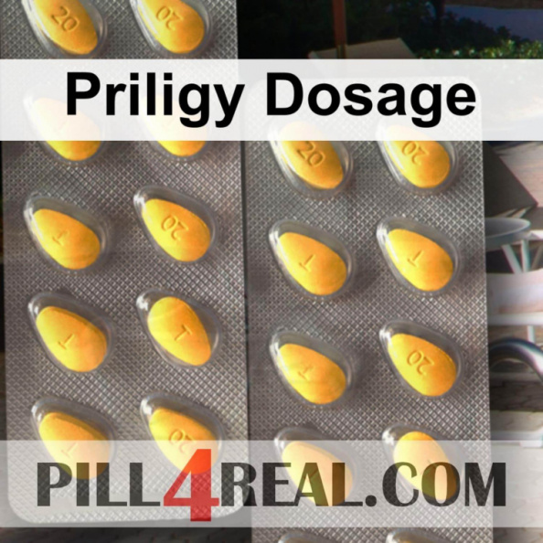 Priligy Dosage 911