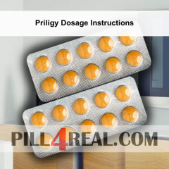 Priligy Dosage Instructions 069