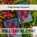 Priligy Dosage Instructions 215