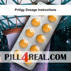 Priligy Dosage Instructions 283