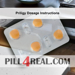 Priligy Dosage Instructions 400