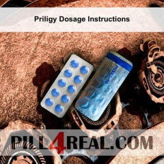 Priligy Dosage Instructions 488