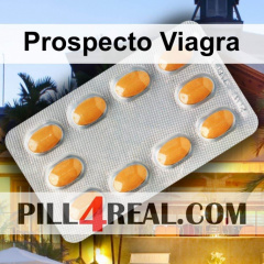 Prospecto Viagra 046