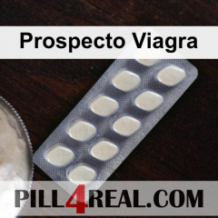 Prospecto Viagra 048