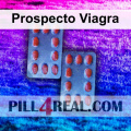 Prospecto Viagra 650