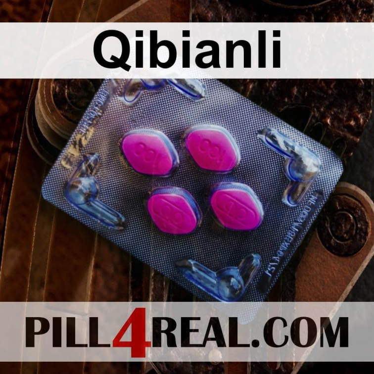 Qibianli 018