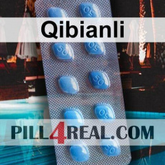 Qibianli 025