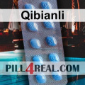 Qibianli 025