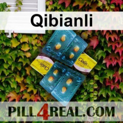 Qibianli 036