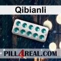 Qibianli 046