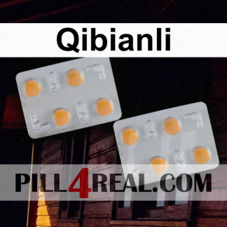 Qibianli 049