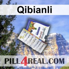 Qibianli 097