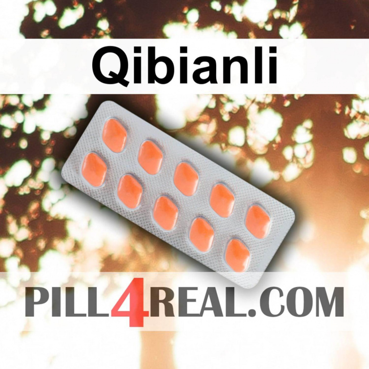 Qibianli 141