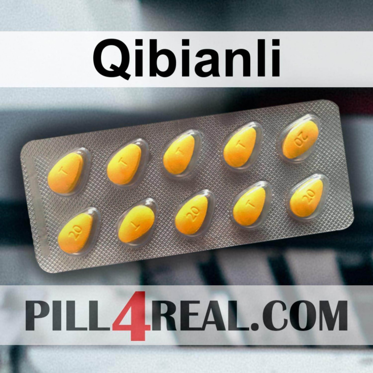 Qibianli 167