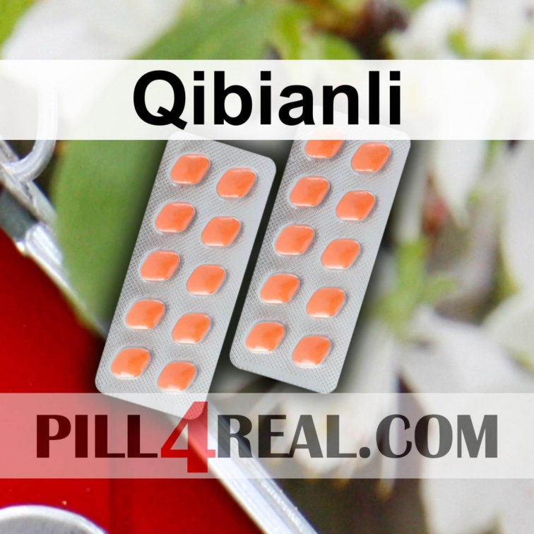Qibianli 168