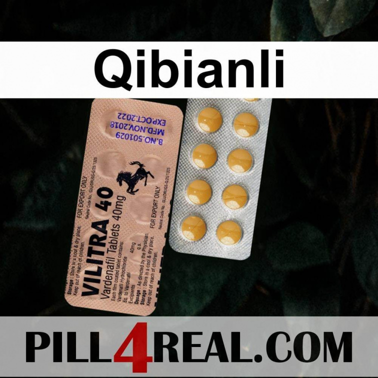 Qibianli 169