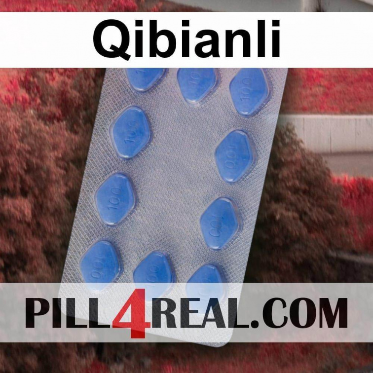 Qibianli 171