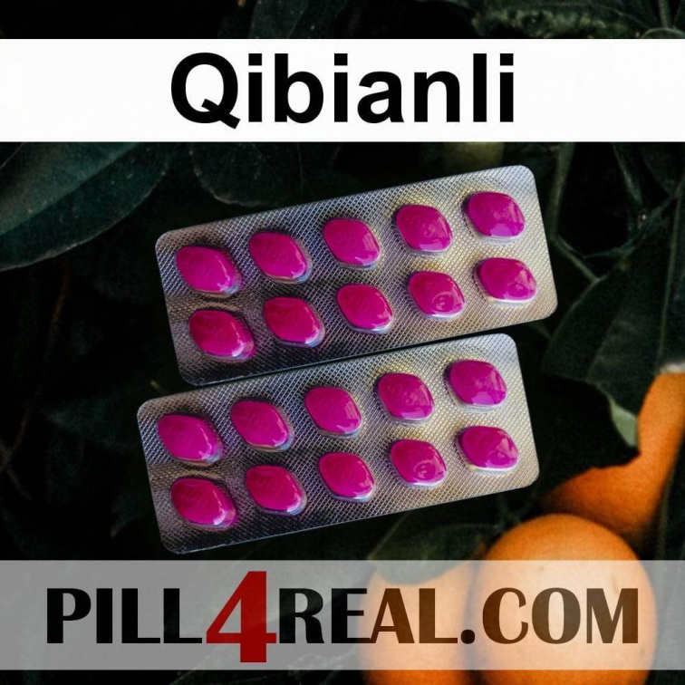 Qibianli 237