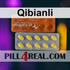 Qibianli 247