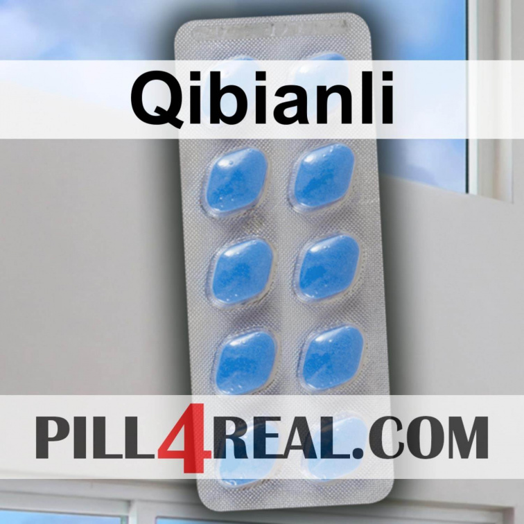 Qibianli 292