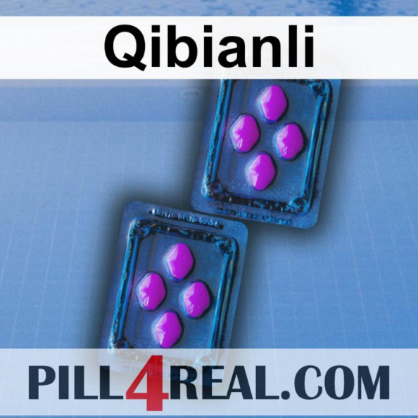 Qibianli 458