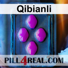 Qibianli 473