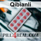 Qibianli 507