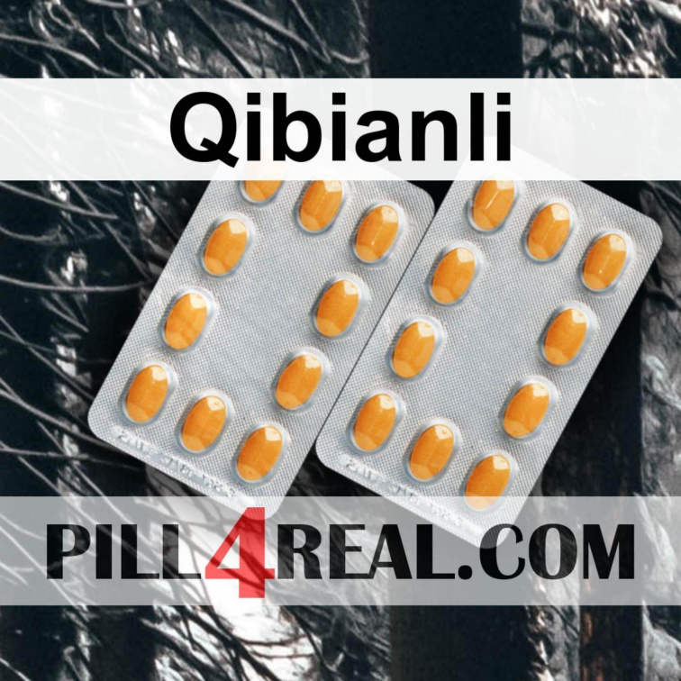 Qibianli 589
