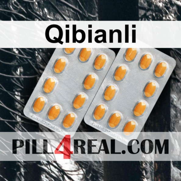 Qibianli 589
