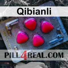Qibianli 868