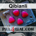 Qibianli 868