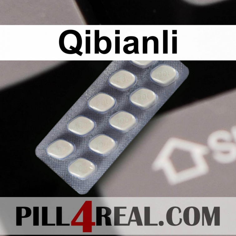 Qibianli 973