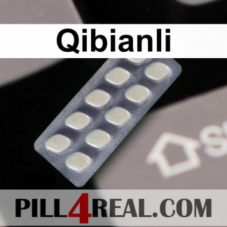 Qibianli 973