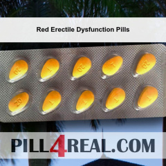 Red Erectile Dysfunction Pills 450