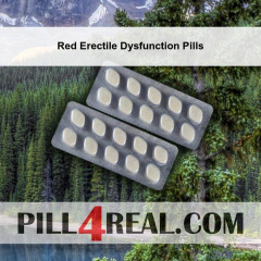 Red Erectile Dysfunction Pills 847
