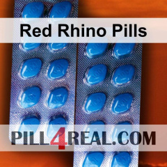 Red Rhino Pills 484