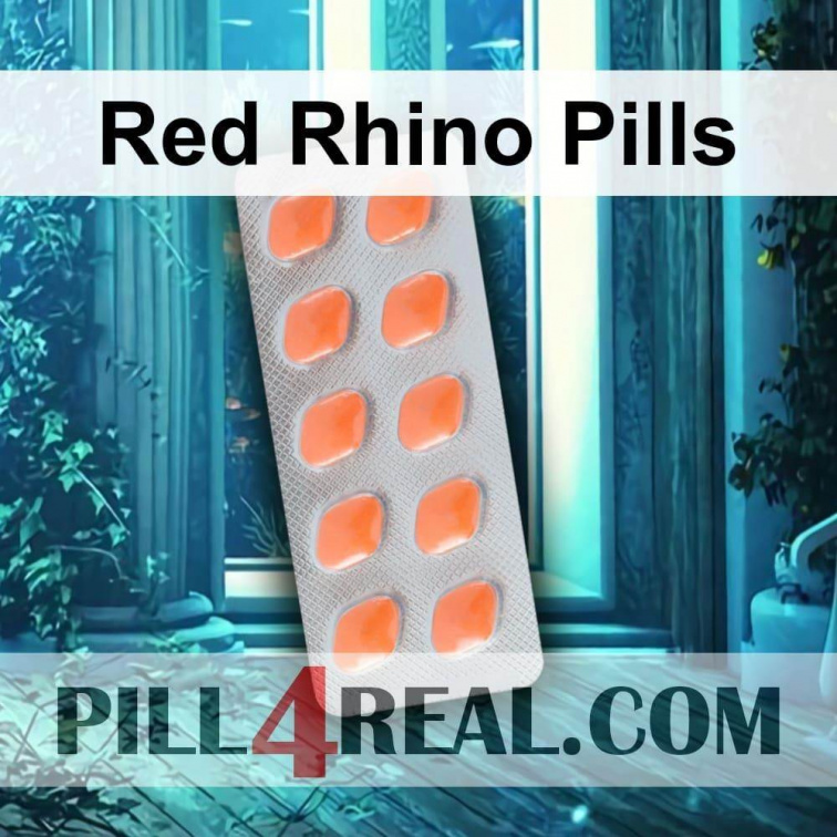 Red Rhino Pills 742