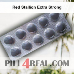 Red Stallion Extra Strong 448