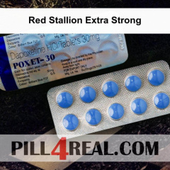 Red Stallion Extra Strong 486