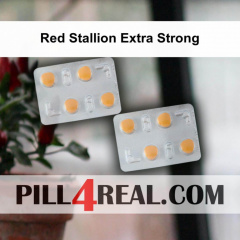 Red Stallion Extra Strong 636