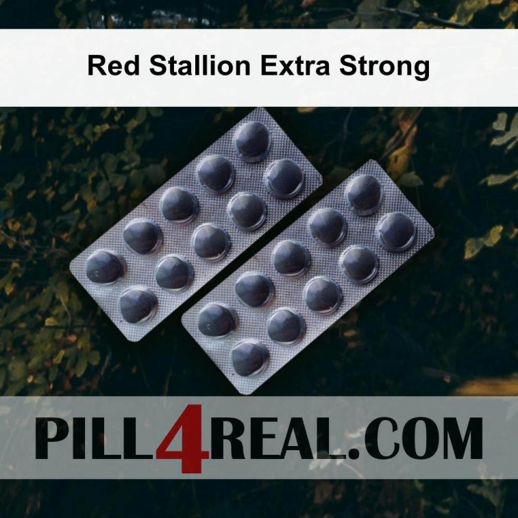 Red Stallion Extra Strong 873