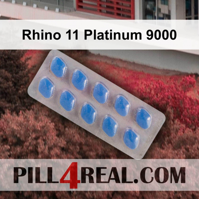 Rhino 11 Platinum 9000 444