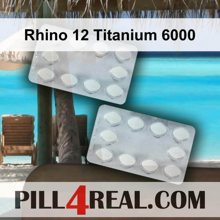 Rhino 12 Titanium 6000 112