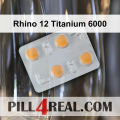 Rhino 12 Titanium 6000 342