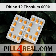 Rhino 12 Titanium 6000 672