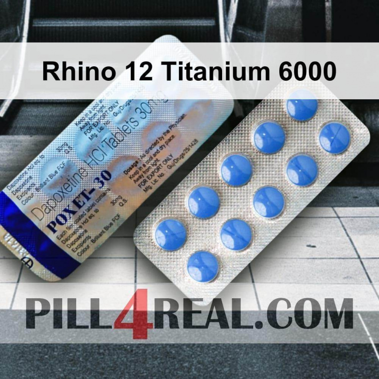 Rhino 12 Titanium 6000 684