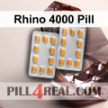 Rhino 4000 Pill 056
